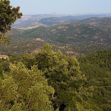 Rusticae Finca La Fronda Alájar エクステリア 写真