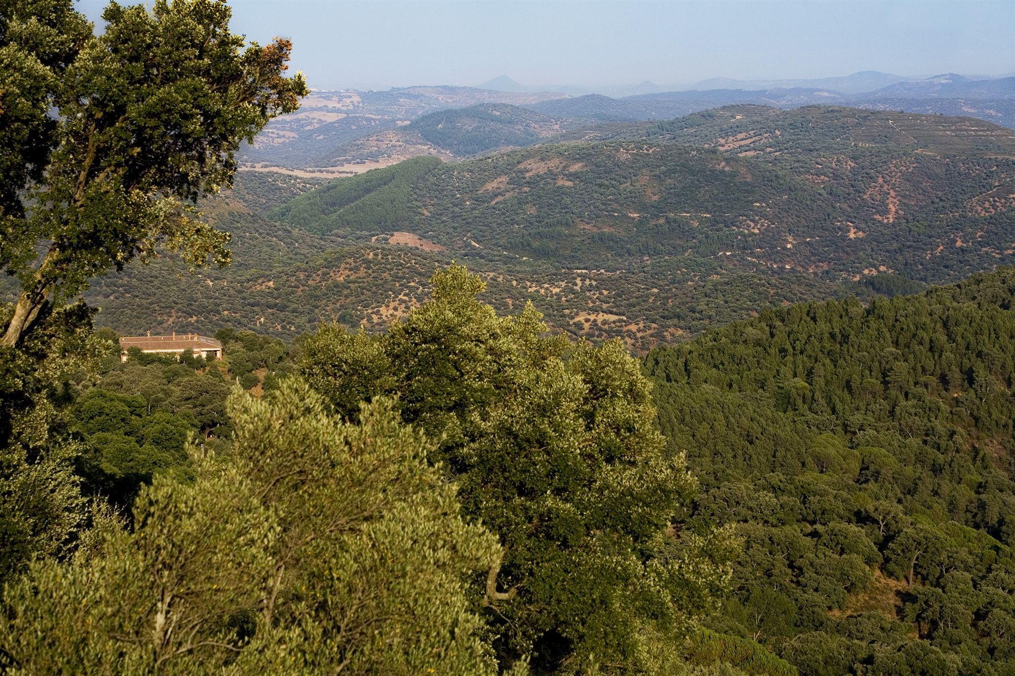 Rusticae Finca La Fronda Alájar エクステリア 写真